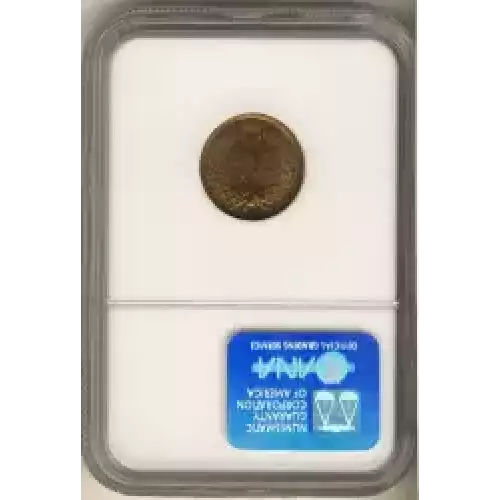 Small Cents-Indian Head 1859-1909 -Copper (3)