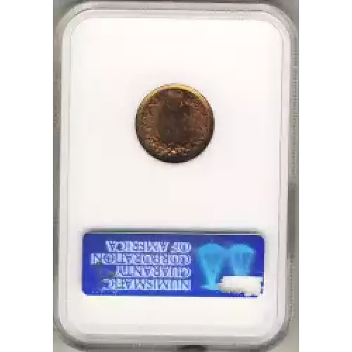 Small Cents-Indian Head 1859-1909 -Copper (3)