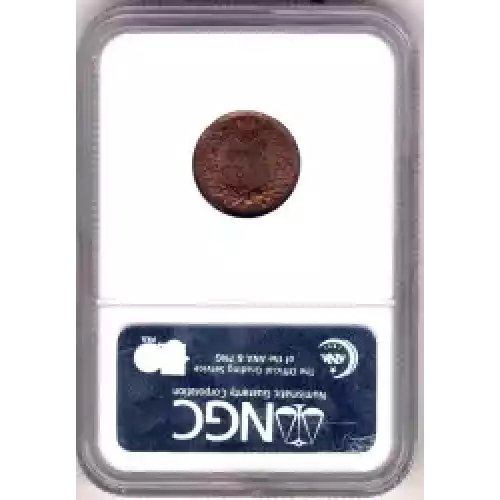 Small Cents-Indian Head 1859-1909 -Copper (3)