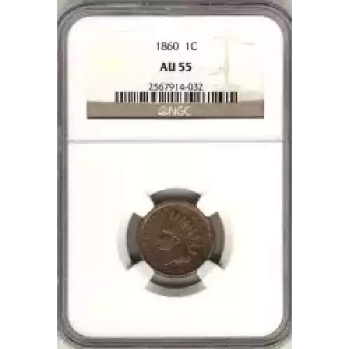 Small Cents-Indian Head 1859-1909 -Copper (3)