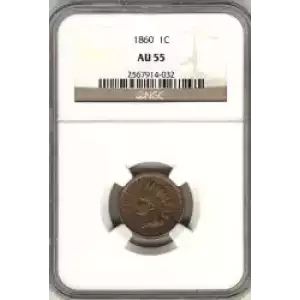 Small Cents-Indian Head 1859-1909 -Copper (3)