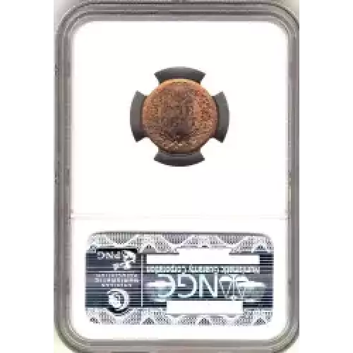 Small Cents-Indian Head 1859-1909 -Copper (3)
