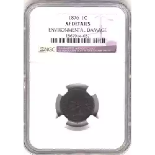 Small Cents-Indian Head 1859-1909 -Copper (3)