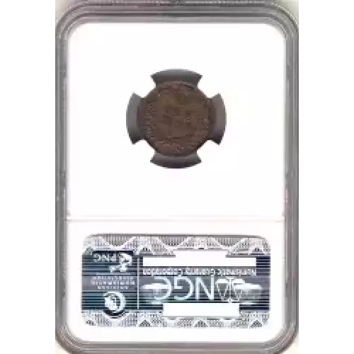 Small Cents-Indian Head 1859-1909 -Copper (3)