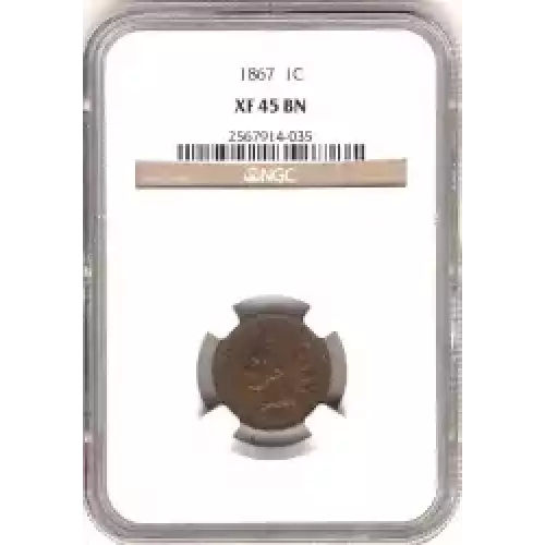 Small Cents-Indian Head 1859-1909 -Copper (3)