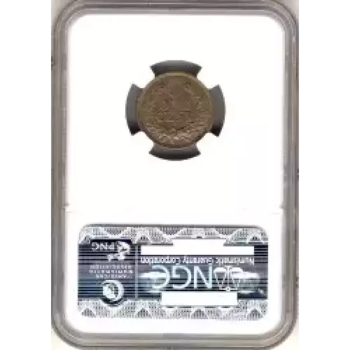 Small Cents-Indian Head 1859-1909 -Copper (3)