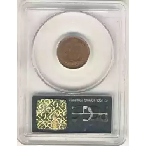 Small Cents-Indian Head 1859-1909 -Copper (3)