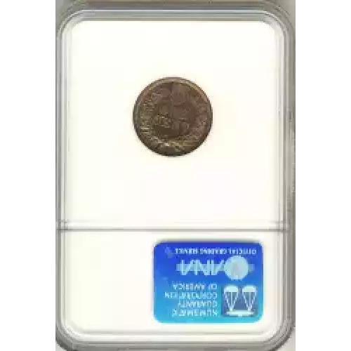 Small Cents-Indian Head 1859-1909 -Copper (3)