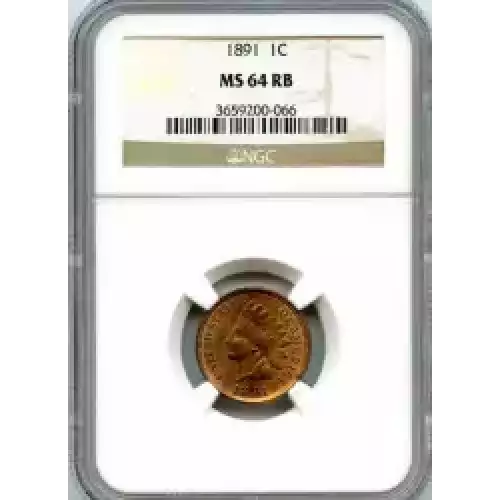 Small Cents-Indian Head 1859-1909 -Copper (3)