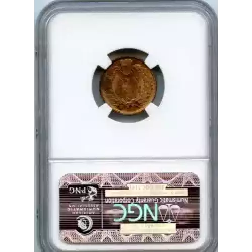 Small Cents-Indian Head 1859-1909 -Copper (3)