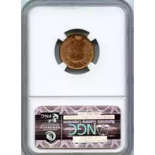 Small Cents-Indian Head 1859-1909 -Copper (3)