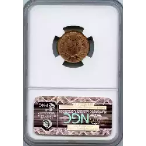 Small Cents-Indian Head 1859-1909 -Copper (3)