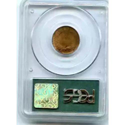 Small Cents-Indian Head 1859-1909 -Copper (3)