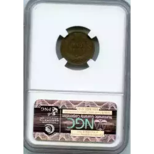 Small Cents-Indian Head 1859-1909 -Copper (3)