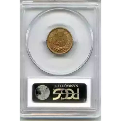 Small Cents-Indian Head 1859-1909 -Copper (3)