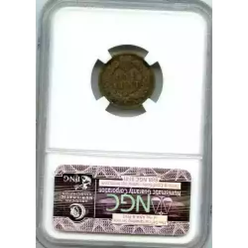 Small Cents-Indian Head 1859-1909 -Copper (3)