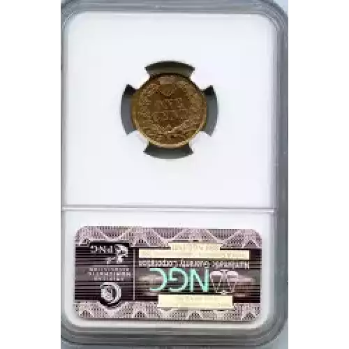 Small Cents-Indian Head 1859-1909 -Copper (3)