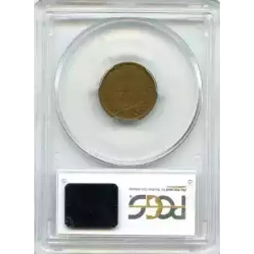 Small Cents-Indian Head 1859-1909 -Copper (3)