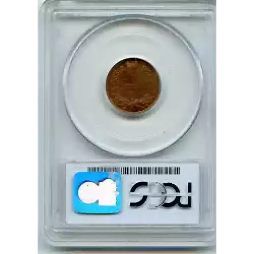 Small Cents-Indian Head 1859-1909 -Copper (3)