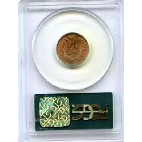 Small Cents-Indian Head 1859-1909 -Copper (3)