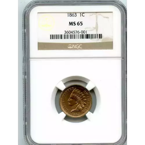 Small Cents-Indian Head 1859-1909 -Copper (3)