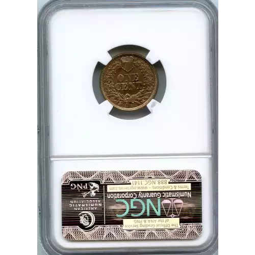 Small Cents-Indian Head 1859-1909 -Copper (3)