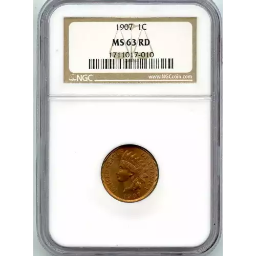 Small Cents-Indian Head 1859-1909 -Copper (3)