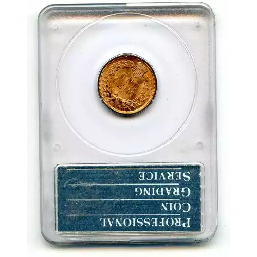 Small Cents-Indian Head 1859-1909 -Copper (3)