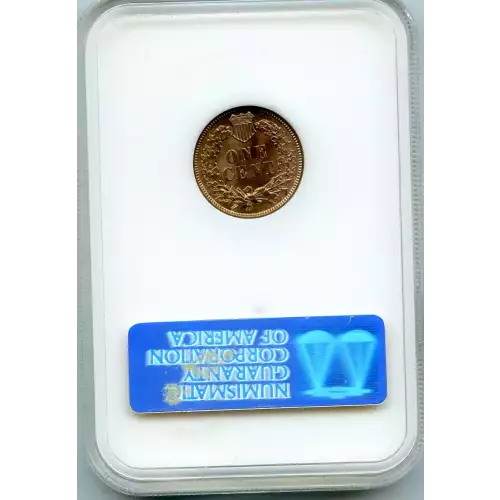 Small Cents-Indian Head 1859-1909 -Copper (3)