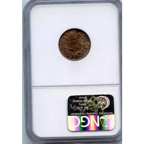 Small Cents-Indian Head 1859-1909 -Copper (3)