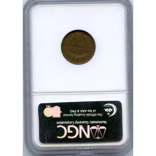 Small Cents-Indian Head 1859-1909 -Copper (3)