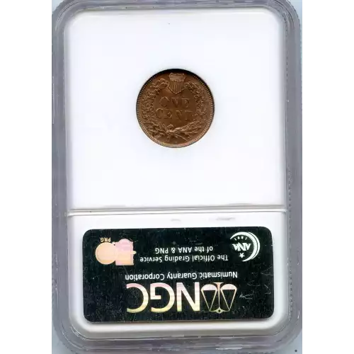 Small Cents-Indian Head 1859-1909 -Copper (3)