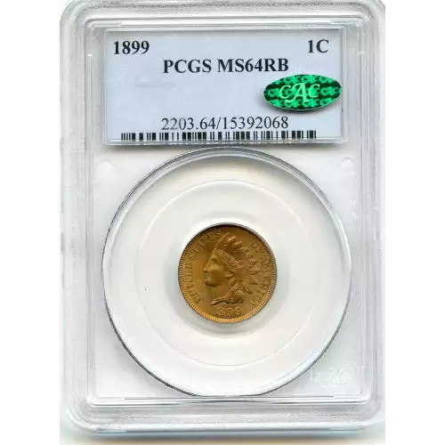 Small Cents-Indian Head 1859-1909 -Copper (3)