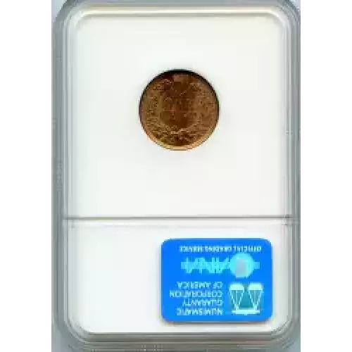 Small Cents-Indian Head 1859-1909 -Copper (3)