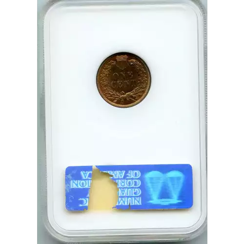 Small Cents-Indian Head 1859-1909 -Copper (3)