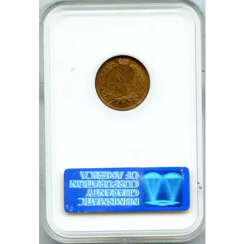 Small Cents-Indian Head 1859-1909 -Copper (3)