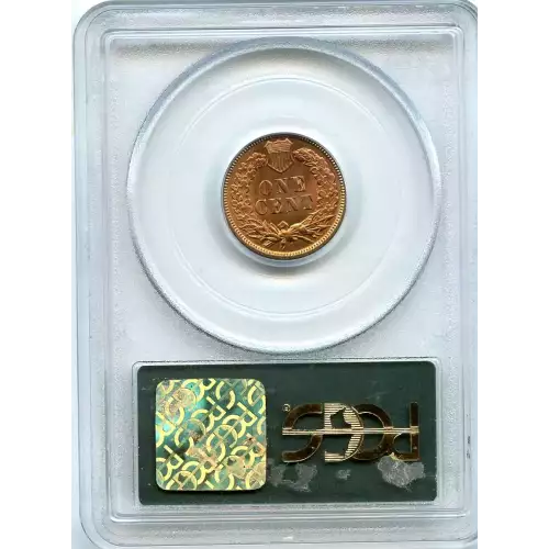 Small Cents-Indian Head 1859-1909 -Copper (3)