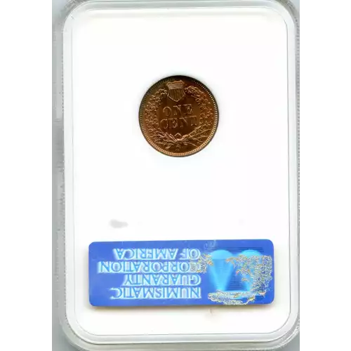 Small Cents-Indian Head 1859-1909 -Copper (3)