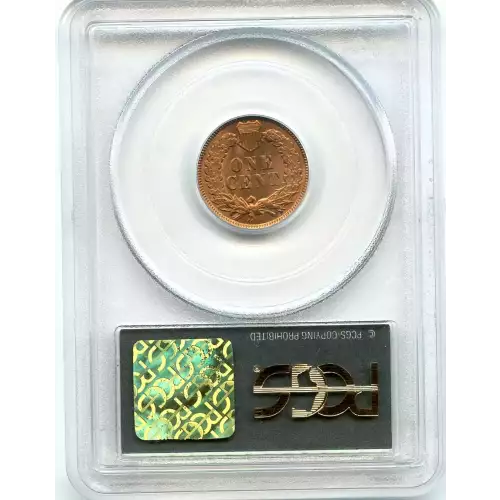 Small Cents-Indian Head 1859-1909 -Copper (3)