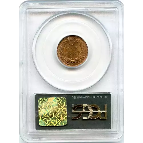 Small Cents-Indian Head 1859-1909 -Copper (3)