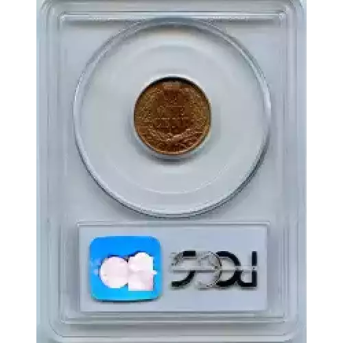 Small Cents-Indian Head 1859-1909 -Copper (3)
