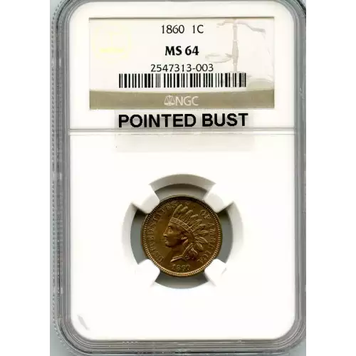 Small Cents-Indian Head 1859-1909 -Copper (3)