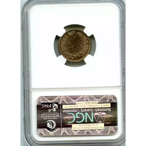 Small Cents-Indian Head 1859-1909 -Copper (3)