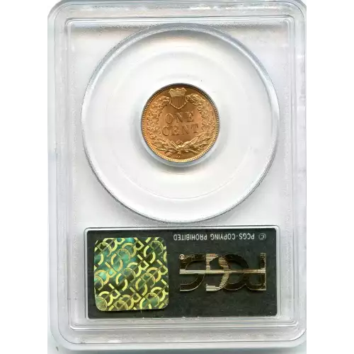 Small Cents-Indian Head 1859-1909 -Copper (3)