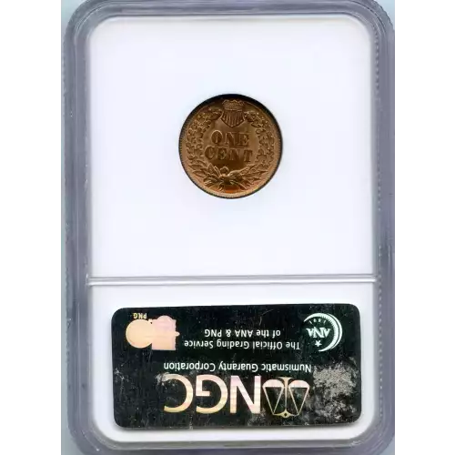 Small Cents-Indian Head 1859-1909 -Copper (3)