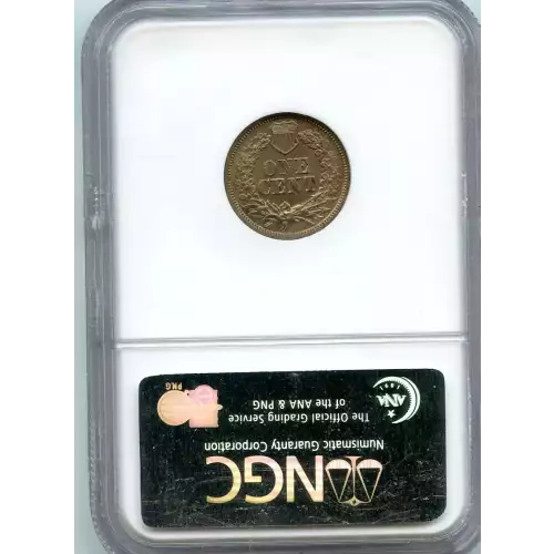 Small Cents-Indian Head 1859-1909 -Copper (3)