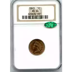 Small Cents-Indian Head 1859-1909 -Copper (3)