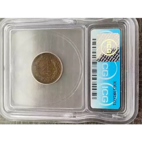 Small Cents-Indian Head 1859-1909 -Copper (3)