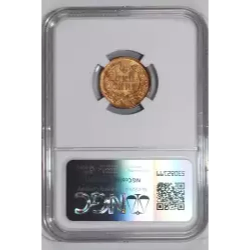 Small Cents-Indian Head 1859-1909 -Copper (2)