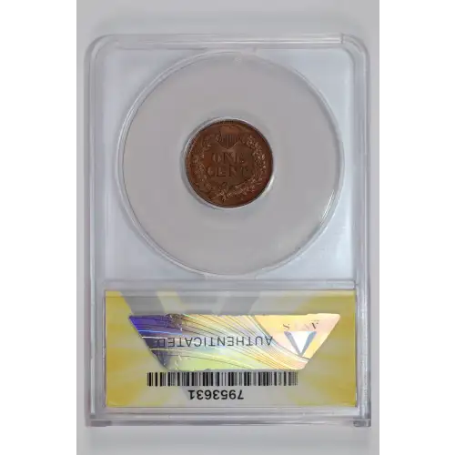 Small Cents-Indian Head 1859-1909 -Copper (2)